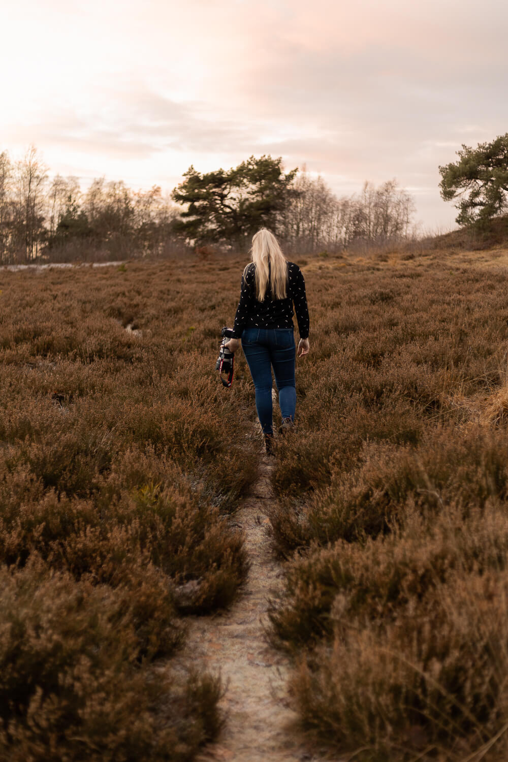 ccfotografie Kontakt