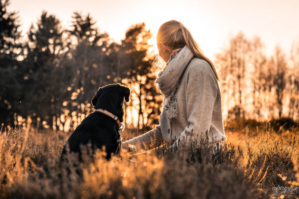 Hundefotografie Schleswig-Holstein