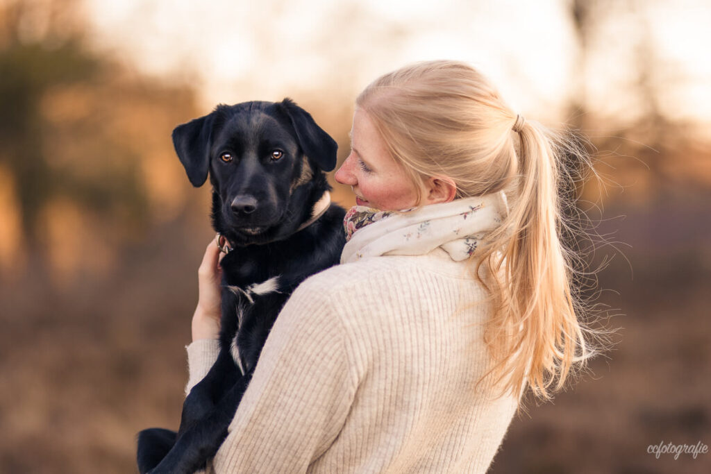Hundefotografie Schleswig-Holstein