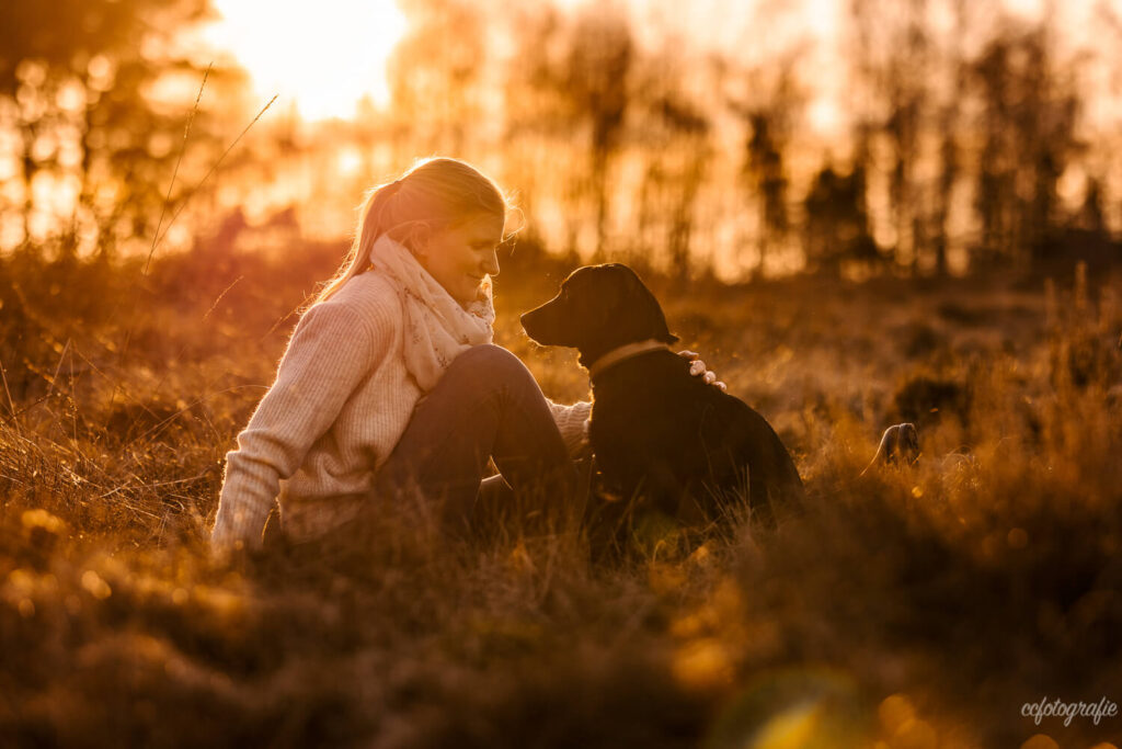 Hundefotografie Schleswig-Holstein