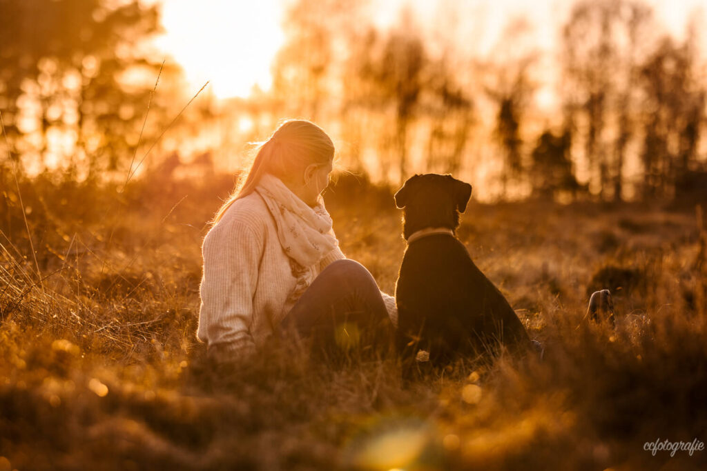 Hundefotografie Schleswig-Holstein