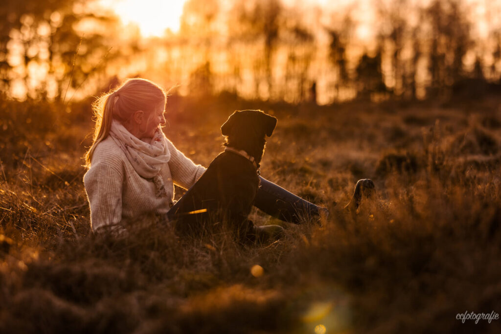 Hundefotografie Schleswig-Holstein