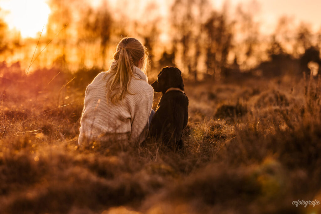 Hundefotografie Schleswig-Holstein