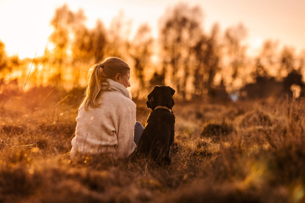 Hundefotograf Schleswig-Holstein