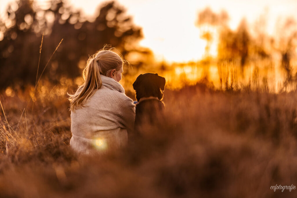 Hundefotografie Schleswig-Holstein