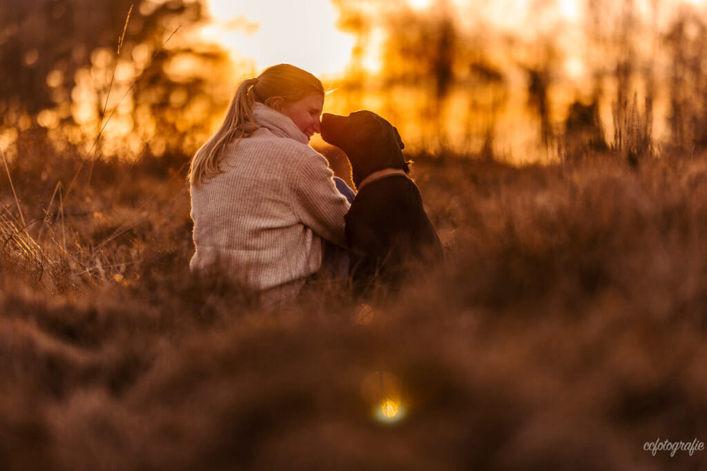 Hundefotografie Schleswig-Holstein