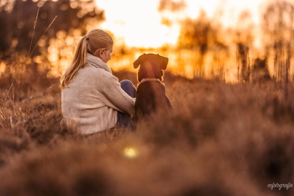 Hundefotografie Schleswig-Holstein