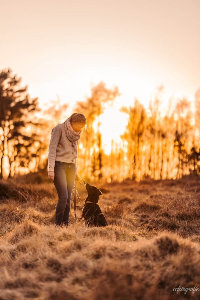 Hundefotografie Schleswig-Holstein