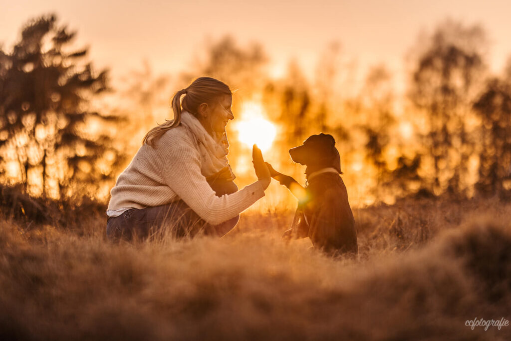 Tierfotografie Schleswig-Holstein
