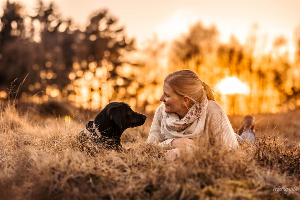 Hundefotografie Schleswig-Holstein