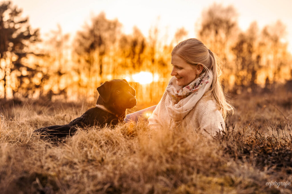Hundefotografie Schleswig-Holstein