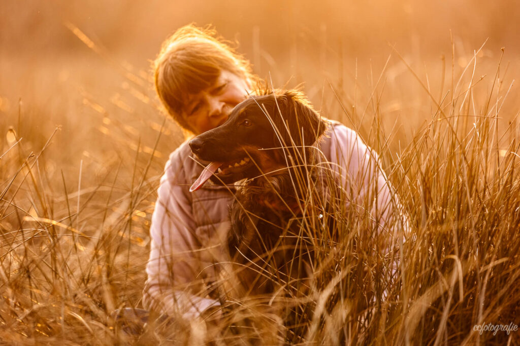Hundefotograf Schleswig-Holstein