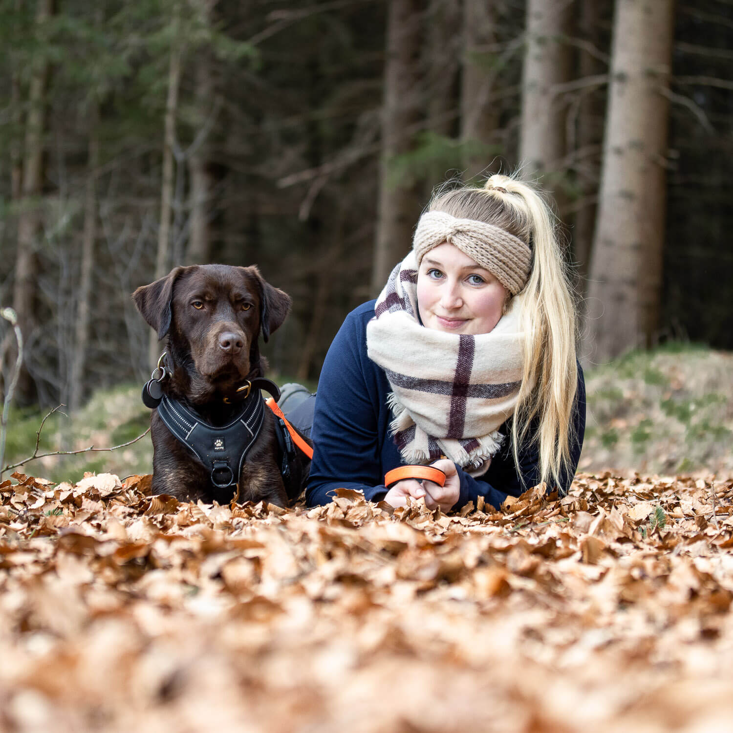 Hundefotograf Schleswig-Holstein
