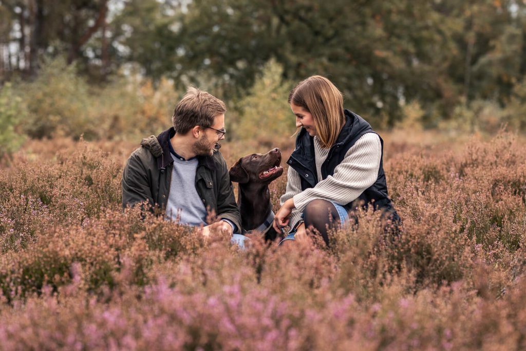 Hundefotograf Hamburg