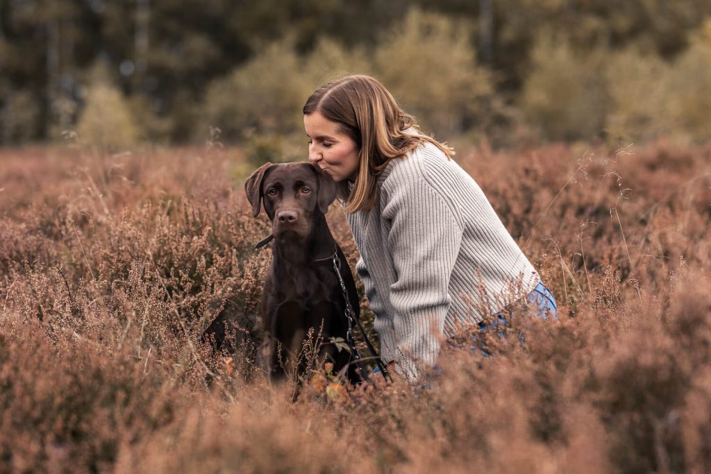 Hundefotograf Hamburg