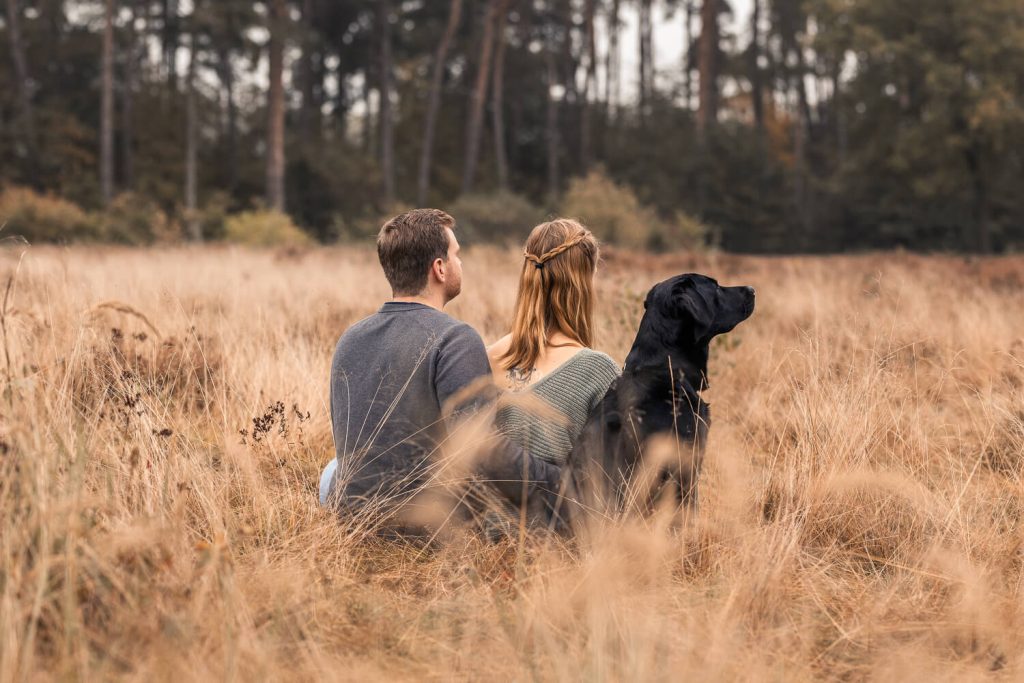 Hundefotografie Schleswig-Holstein