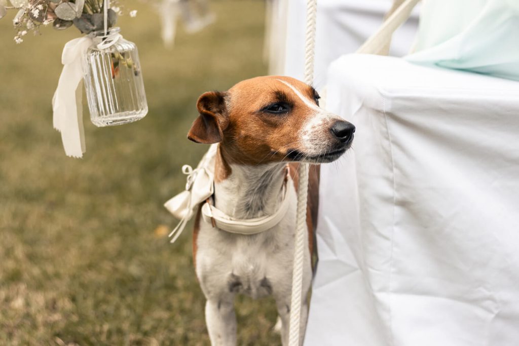 Hochzeitsfotograf Bad Bramstedt