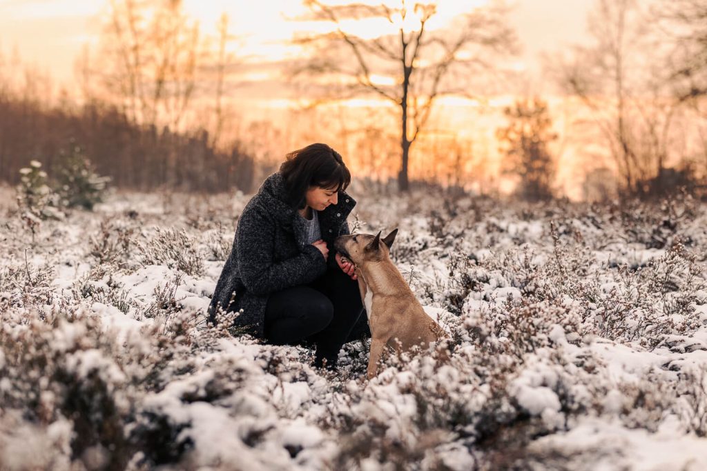 Fotoshooting mit Hund Schleswig-Holstein