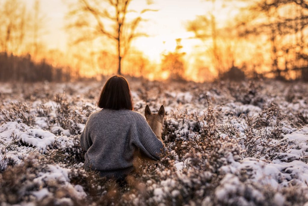 Fotoshooting mit Hund Schleswig-Holstein