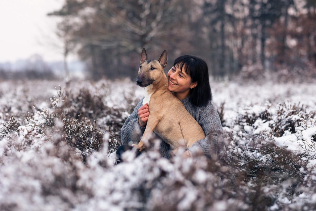 Fotoshooting mit Hund Schleswig-Holstein