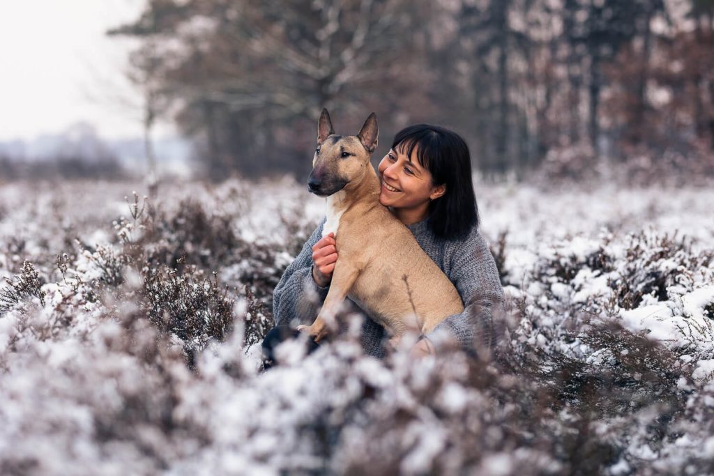 Fotoshooting mit Hund Schleswig-Holstein