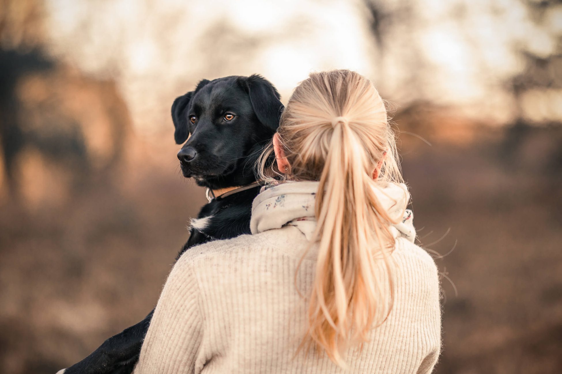 Tierfotografie Schleswig-Holstein