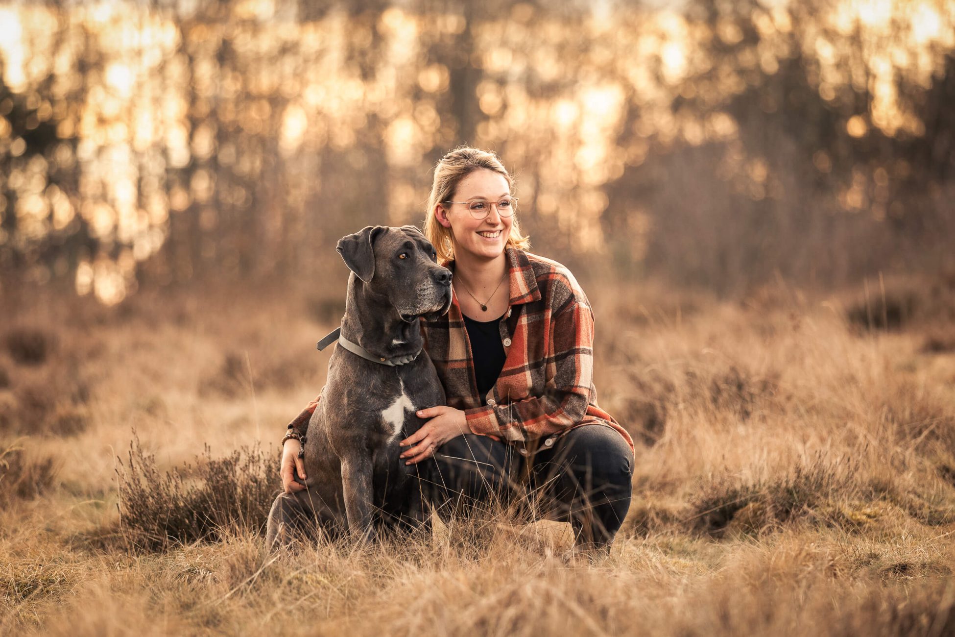 Hundefotografie Schleswig-Holstein