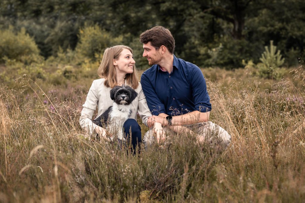 Hundefotoshooting Schleswig-Holstein