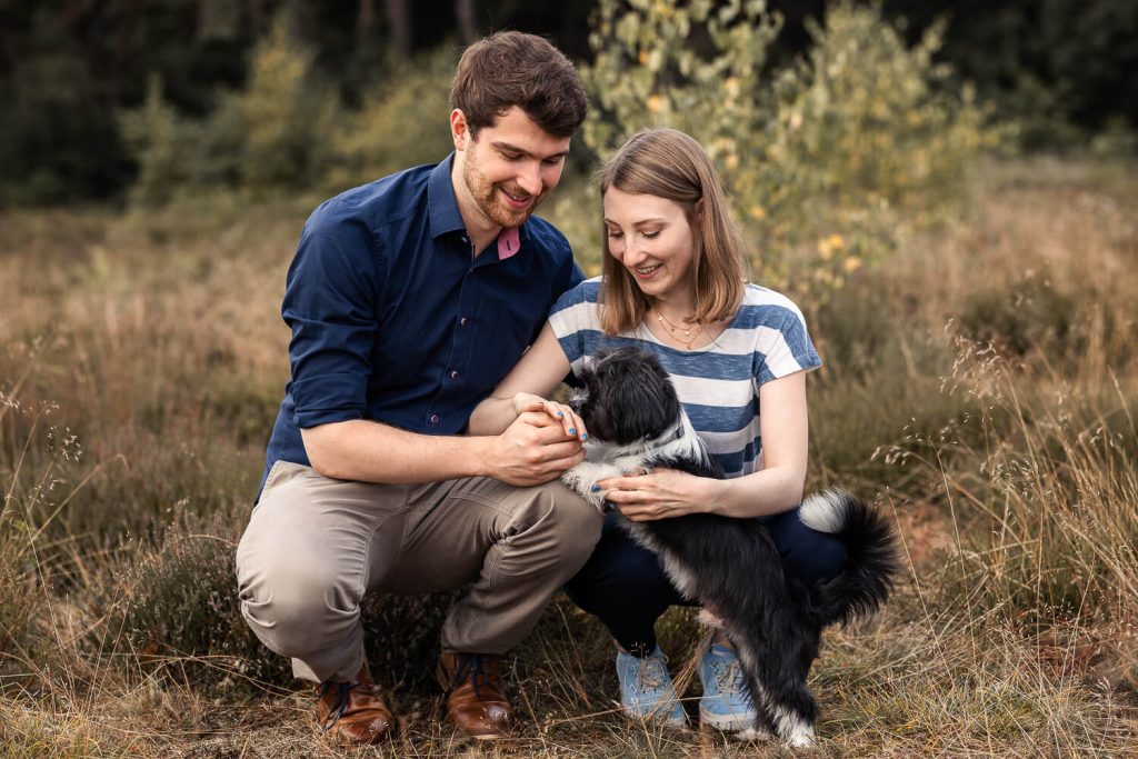 Hundefotoshooting Schleswig-Holstein