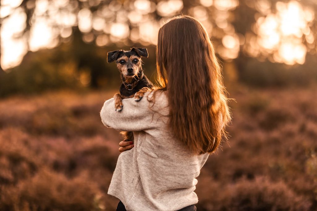 Fotoshooting mit Hund Hamburg
