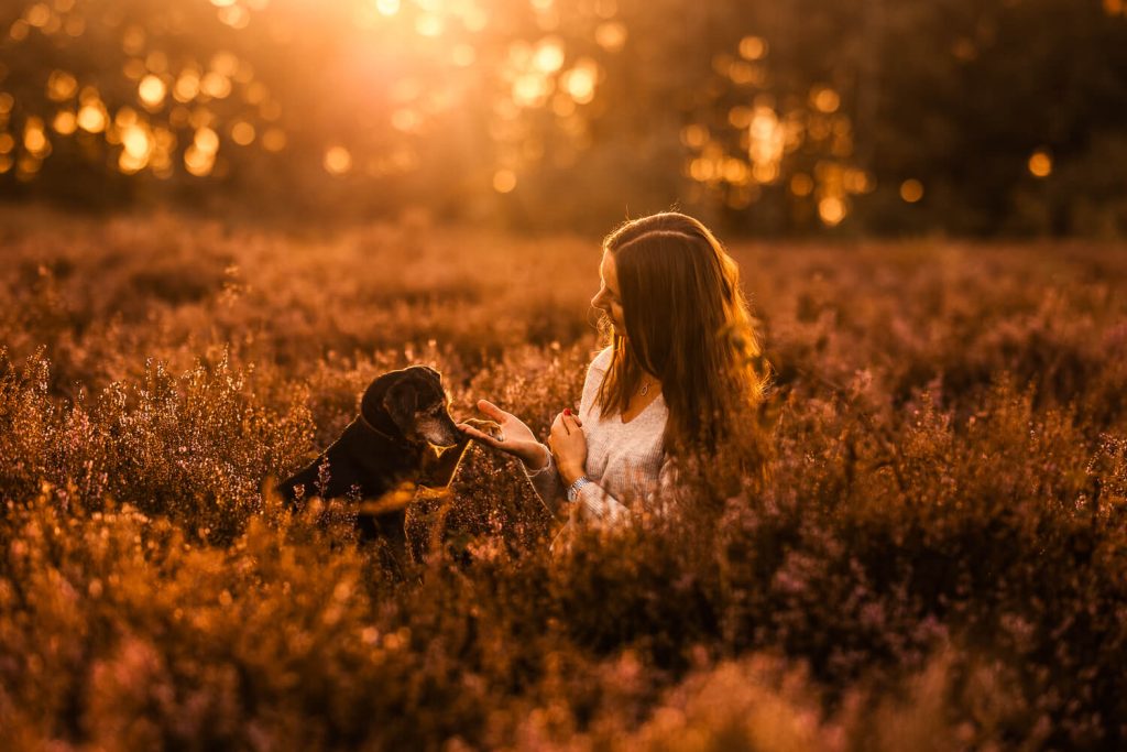 Fotoshooting mit Hund Hamburg